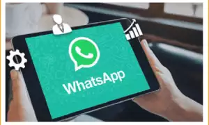 Whatsapp-Marketing-Hero